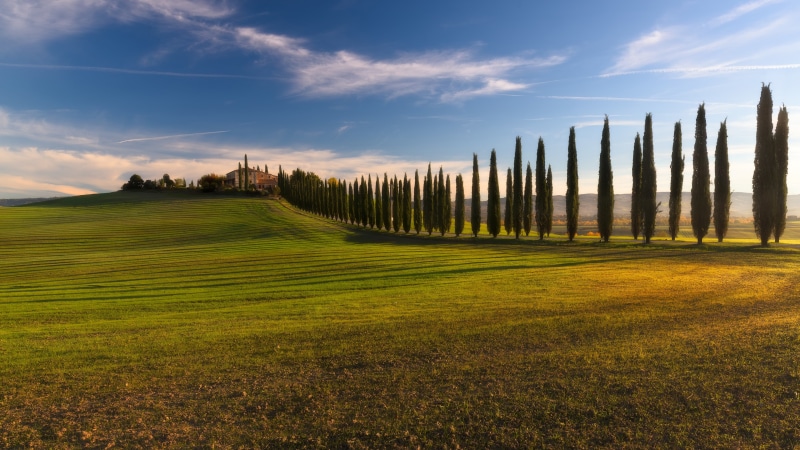 4K, cypresses, cloud, tree lane, hill, cypress tree, valdorcia, landscape, rural area, countyside, field, europe, tuscany, val dorcia, grassland, italy