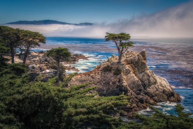 cloud - Sky, The Lone Cypress, rock - Object, trees, green, Carmel Bay, no People, idyllic, beach, vacations, atlantic Ocean, sand, leafed, wave, sea, landscape