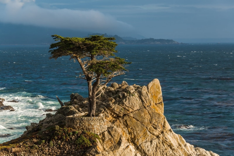 island, waters Edge, land, cliff, summer, lone cypress, 1080P, tranquility, vacations, beauty In Nature, plant, wave, nature, pacific, beach, solid, sea