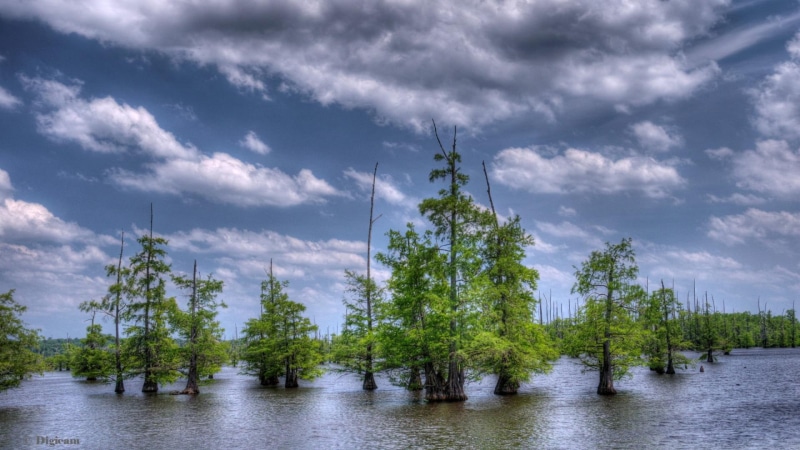 blue, 3d and abstract, beautiful, blue cypress lake, cypress, 1080P, cypress trees, trees, clouds, lakes, nature