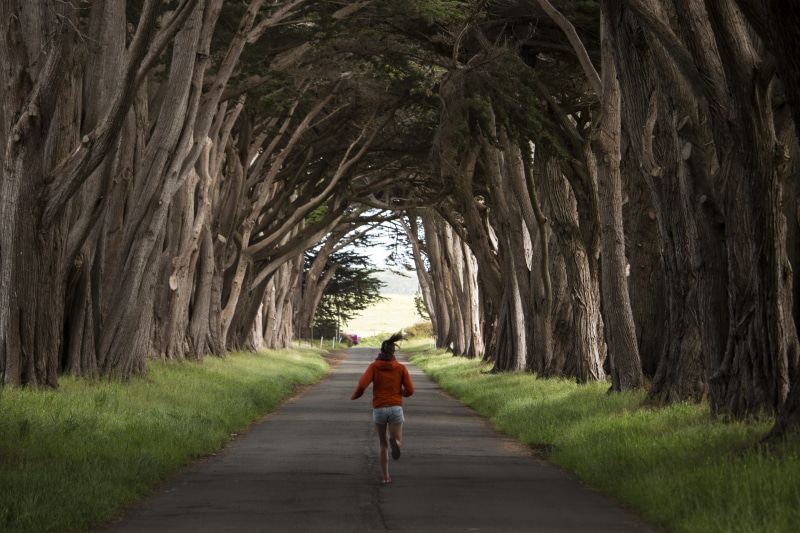 tunnel, real people, road, rear view, walking, running, 5K, diminishing perspective, tree trunk, casual clothing, direction, united states, tree, plant