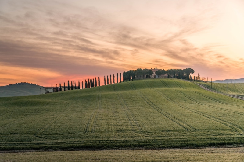Tangerine, toolkit, fantastic, distribute, land, farm, 5K, meadow, val dOrcia, lightroom, nature, Hilltop  green, creative  commons, pienza, italy, tuscany