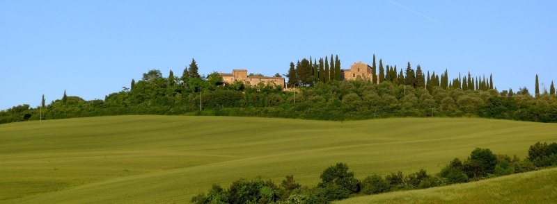 golf course, scenic, sport, daytime, surrounded, architecture, cypress, clear sky, environment, landscape, tree, panoramic, luxury, tranquil scene, sky