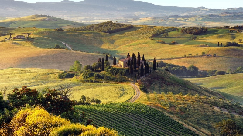 farm, panoramic, scenics, landscaped, nature, growth, season, field, top view, landscape, asciano, green, day, agriculture, valley, village, meadow, tranquility