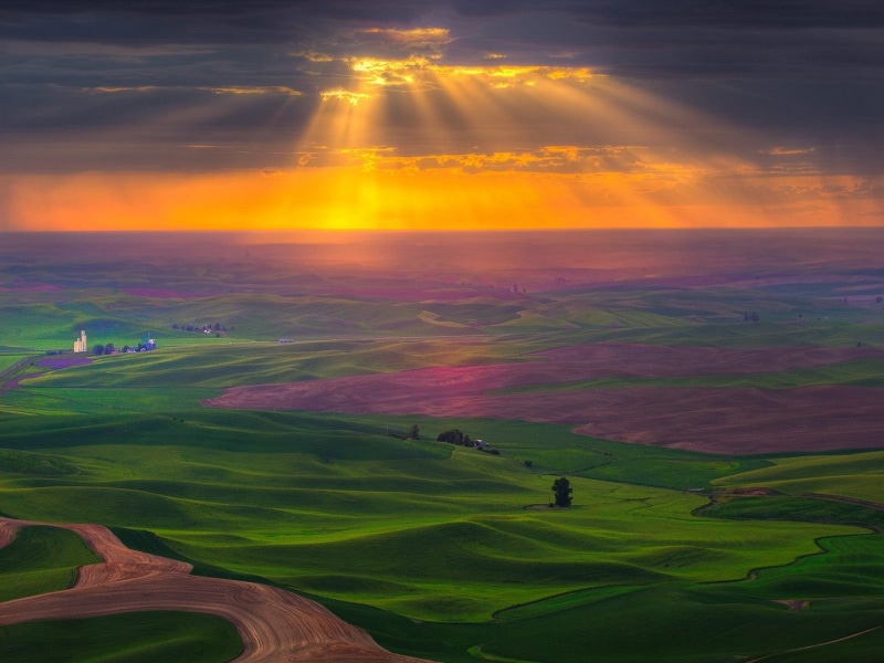 palouse, tuscany, environment, multi Colored, nature, summer, tranquil Scene, backgrounds, green Color, agriculture, greens, sunlight, springtime, rolling
