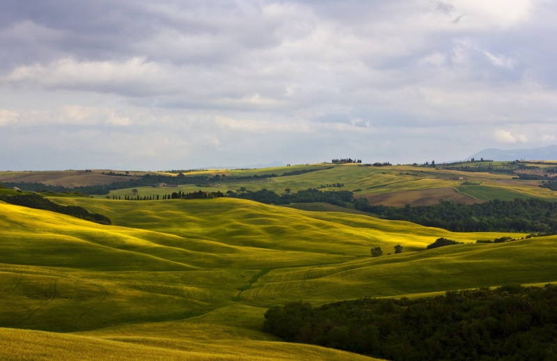 plant, 2K, season, field, pienza, agriculture, panoramic, yellow, hill, day, rural Scene, green Color, siena Province, italy, tranquil Scene, landscape