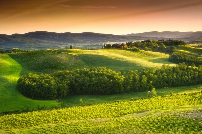 4K, agriculture, springtime, Italy, italian Culture, beauty In Nature, morning, hill, meadow, tranquil Scene, trees, sky, plant, blue, Landscape, green