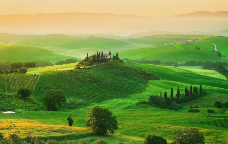 morning, europe, vineyard, outdoors, grass, italian Culture, sunset, idyllic, val dOrcia, growth, sun, italy, green, green Color, 1080P, non-Urban Scene