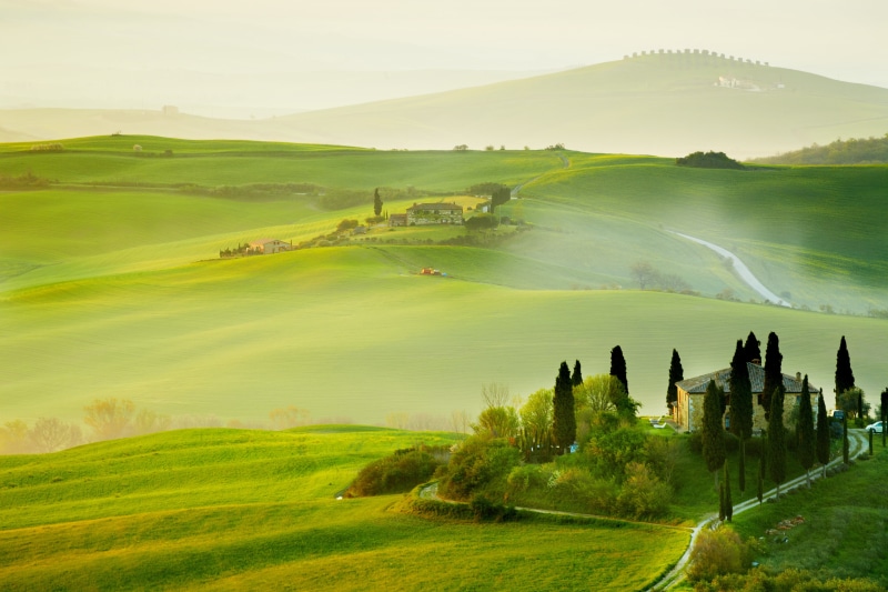 idyllic, tranquil Scene, non-Urban Scene, italian Cypress, day, 5K, San QuiricoOrcia, green fields, rural Scene, green field, pienza, road, scenics, green