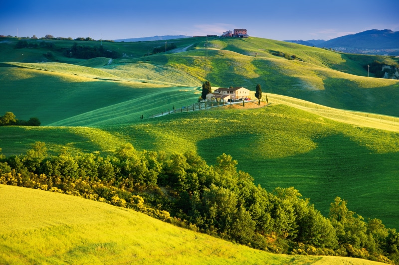 scenics, travel, day, scenics - nature, farm, europe, beauty In Nature, agriculture, land, val dOrcia, italian Cypress, trees, house, color Image, countryside
