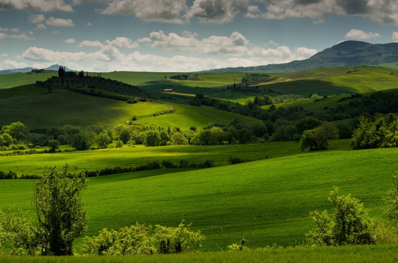 no People, field, idyllic, plant, europe, trees, outdoors, grass, springtime, tree, valley, cloud - Sky, italian Culture, meadows, meadow, green Color