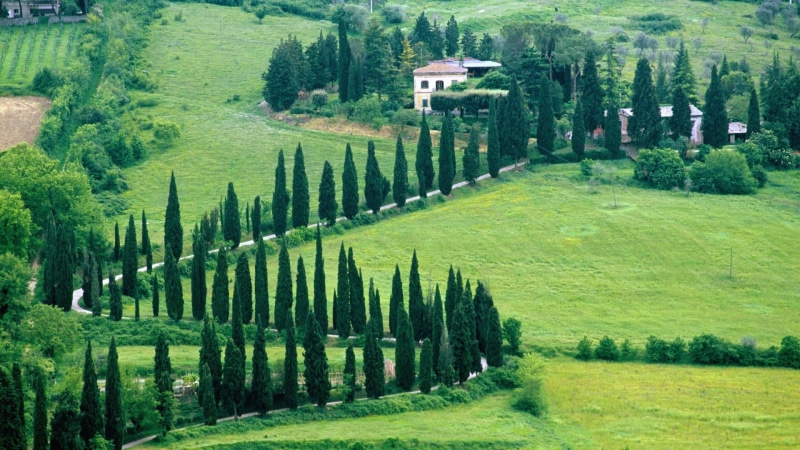 siena Province, no People, building exterior, farm, mountain, plant, tranquil scene, sky, tuscany, hill, meadow, building, nature, rural Scene, landscaped