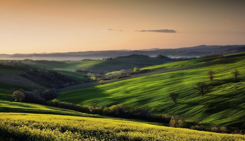 yellow, chianti Region, tea crop, rural Scene, meadow, environment, 1080P, summer, sunset, no People, tranquil Scene, italian Culture, house, italy, hill