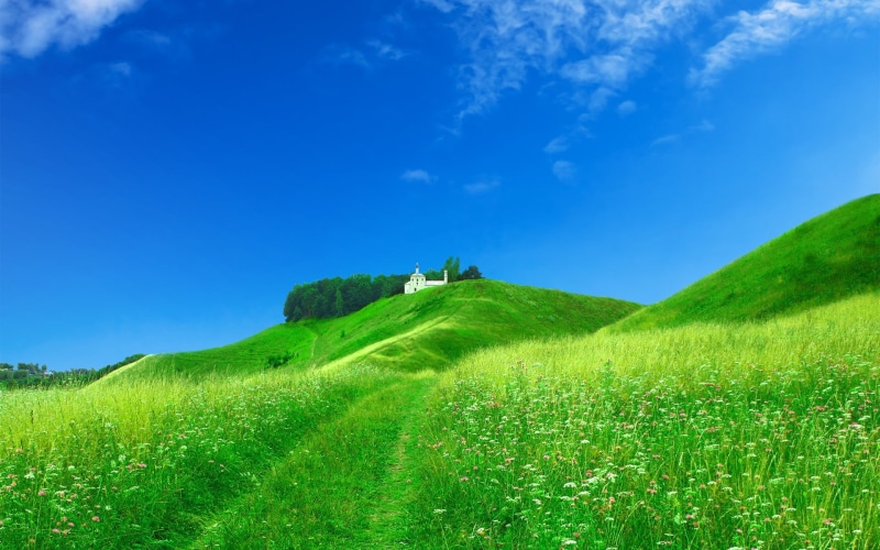 landscaped, landscape, flowers, meadow, structure, non-Urban Scene, chapel, siena Province, famous Place, beauty In Nature, farm, land, summer, nature
