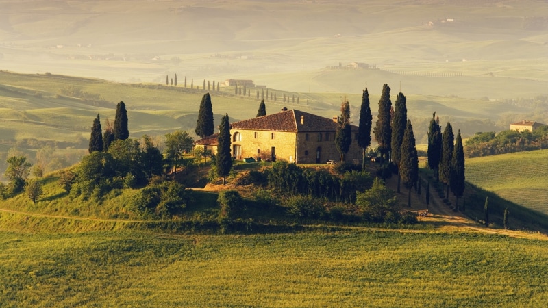 tranquility, europe, field, village, 1080P, sunlight, landscape, pienza, beauty In Nature, hill, mountain, growth, environment, scenics, italian Cypress