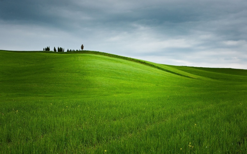 europe, horizon, landscape, sunlight, landscaped, hill, plant, blue, season, tuscany, italian Culture, italian Cypress, land, no People, chianti Region