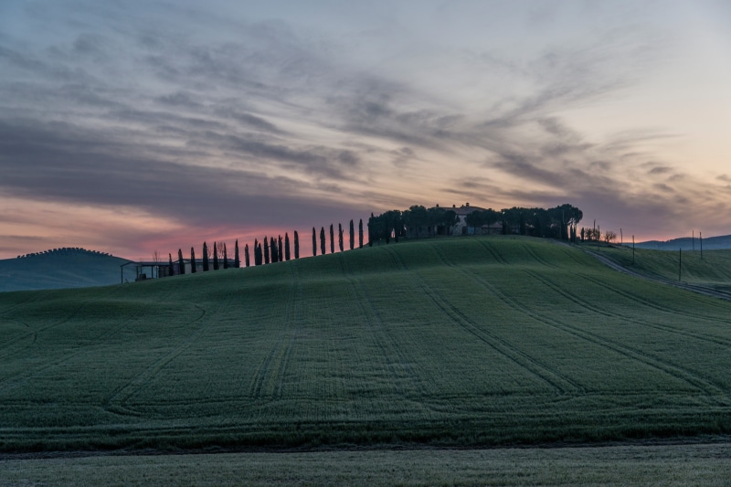 grass, tranquility, lawn, hill, nature, italy, cypress Tree, chianti Region, farm, distance, outdoors, green grass, sunrise, italian Cypress, landscape