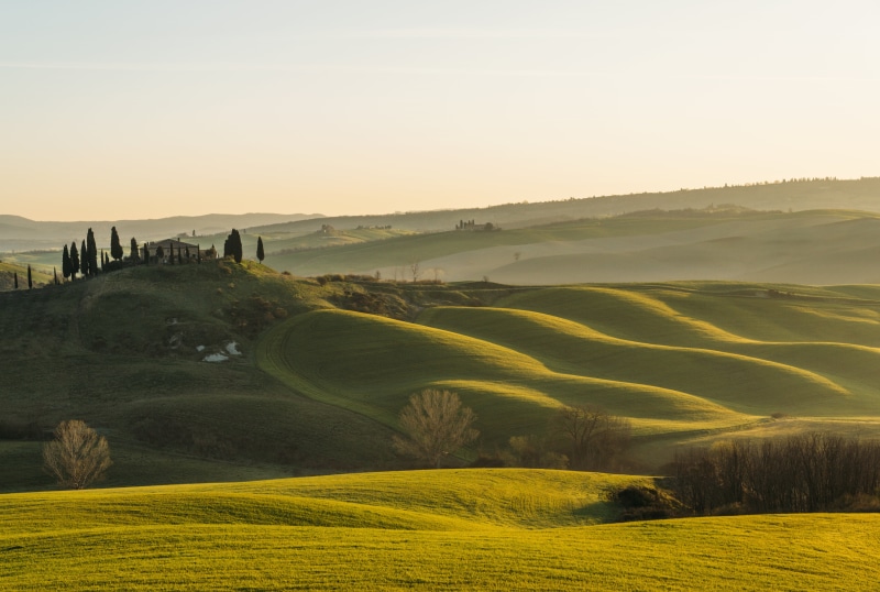 tranquility, hill, nature, cypress Tree, environment, tuscany, val dOrcia, tranquil scene, outdoors, no people, non-urban scene, sky, sun, italian Culture