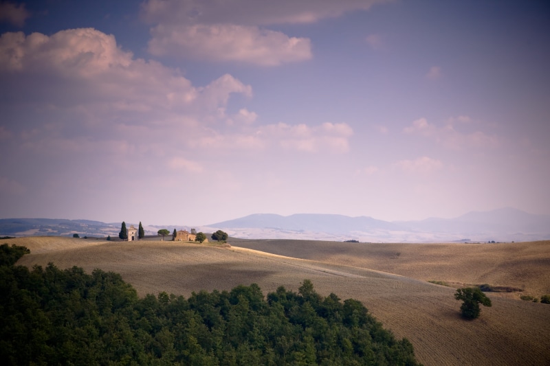 tranquil scene, sky, agriculture, italy, tree, cloud - sky, clouds, landscape, hills, italian Cypress, environment, outdoors, beauty In Nature, rural Scene