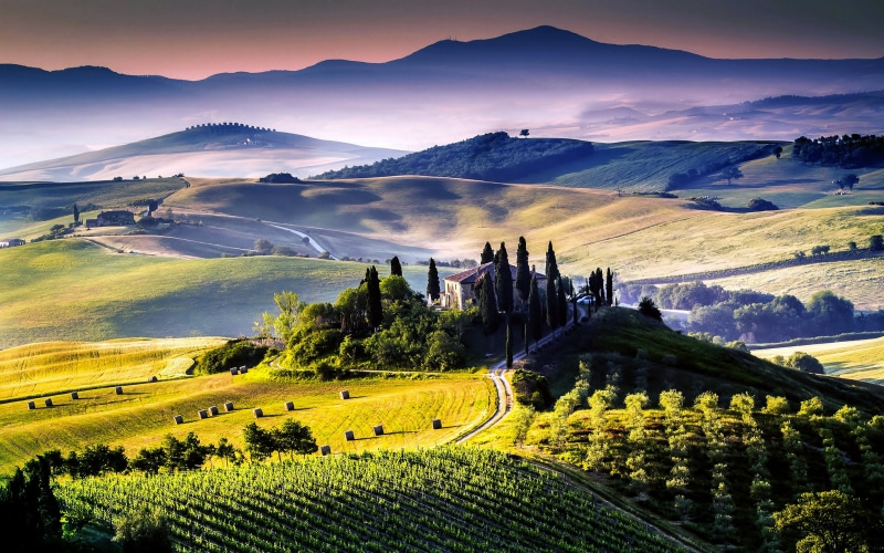 landscaped, sunrise - Dawn, vineyard, no People, europe, road, crop, tree, cypress Tree, winery, summer, panoramic, farm, chianti Region, hills, idyllic