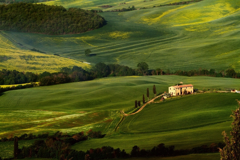 landscaped, pienza, san Quirico Dorcia, siena Province, white, rolling Landscape, agriculture, idyllic, nature, scenics - nature, cypress Tree, hill, meadow