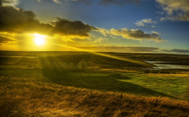 brown, farm, springtime, structure, plant, sunlight, outdoors, rays, tranquility, panoramic, tree, cypress Tree, sunbeam, horizon, nature, landscape, tuscany