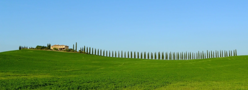 plant, daytime, siena, panorama, 2K, farmhouse, travel, grass, landscape, tourism, holiday, land, agriculture, environment, italian, meadow, place, scenic