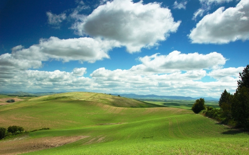 sun, cloud - Sky, pasture, meadow, mountain, rural Scene, backgrounds, panoramic, non-Urban Scene, season, tree, cypress Tree, summer, val dOrcia, hill
