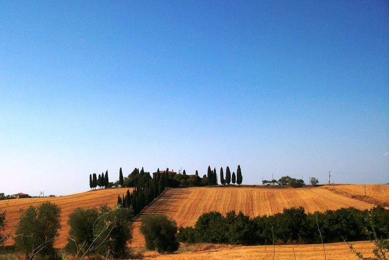 landscaped, blue, italy, environment, tranquility, rural Scene, cypress Tree, 2K, hill, nature, land, europe, tuscany, chianti Region, beauty in nature