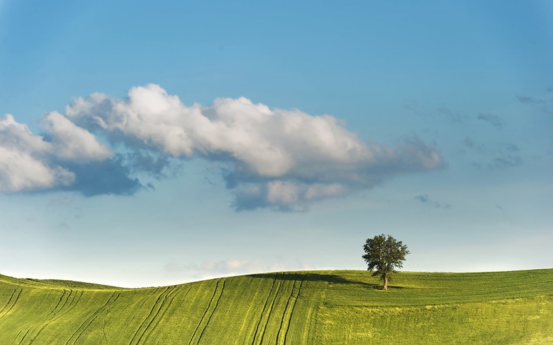 crop, italy, landscape, backgrounds, cloudscape, farm, growth, clouds, green, landscaped, summer, plain, day, tranquility, agriculture, scenics, sun, blue
