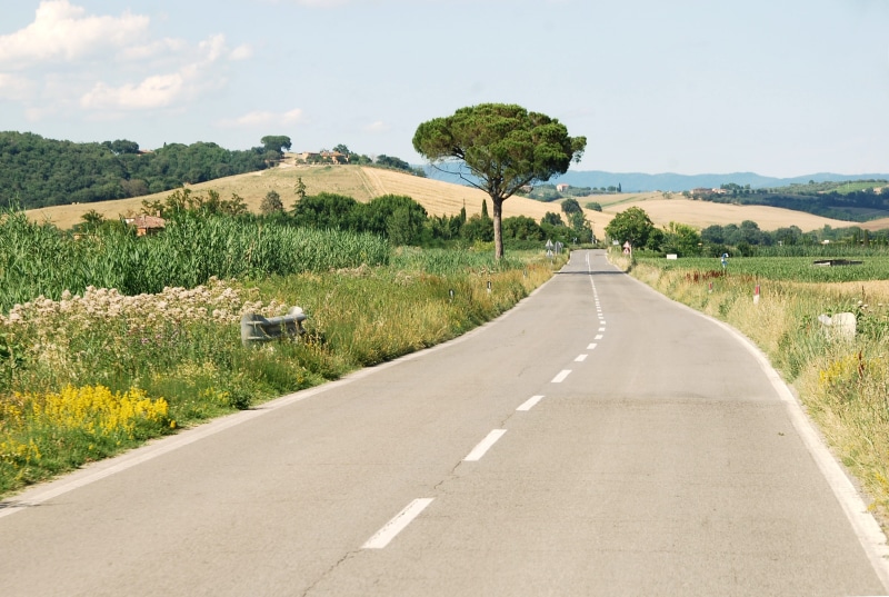 travel, road marking, long, tranquility, single lane road, sunny, beauty in nature, toscana, marking, cypress, symbol, Tuscany, field, 2K, day, no people