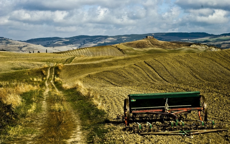 growth, old-fashioned, landscape, daytime, chianti Region, green Color, road, 2K, plant, house, farm, vine, autumn, hill, nature, mountain, winery, val dOrcia