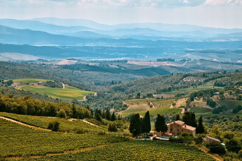 rural, beauty in nature, tuscany, agriculture, hill, rural Scene, plant, 5K, mountain, piedmont, europe, summer, winery, sky, nature, landscape, wine