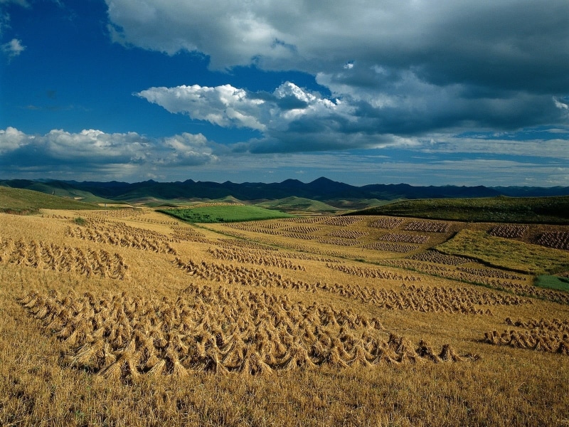 landscape, sky, mountain, sunlight, valley, scenics, sheaves, growth, tuscany, semi-arid, plant, landscaped, rural Scene, scenics - nature, plantation