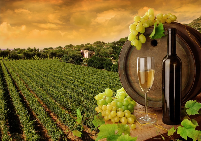 red Grape, cabernet Sauvignon Grape, bottle, chianti Region, land, leaf, flute, freshness, plant, wine, wellbeing, rural Scene, table, autumn, bunch, food