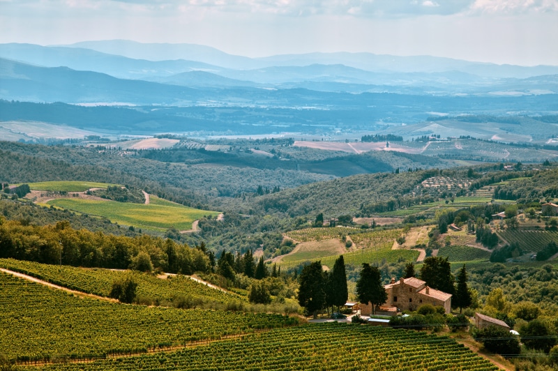 rolling landscape, scenics, agriculture, mountain range, cloudy, winery, farm, grape, plantation, hill, architecture, nature, tuscany, vine, italy, building