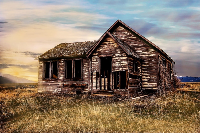 building, wood, painting, 1080P, sky, grass, decay, rural scene, land, leave, old building, nature, wooden construction, day, run down, lonely house, farmhouse