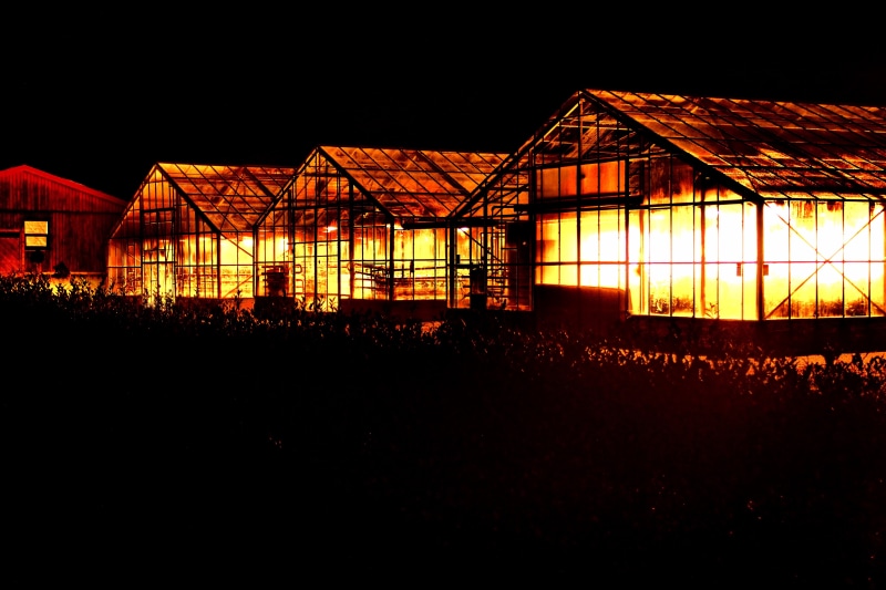 glass, abandoned, three, copy space, green, 5K, farm, outdoors, yellow, agriculture, dark, building, residential district, nature, built structure, industry