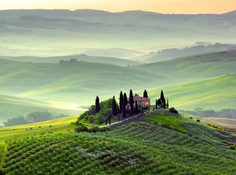 pienza, green, outdoors, trees, scenics - nature, non-urban scene, 4K, tuscany, toscana, green color, landscape, beauty in nature, Italy, rural scene