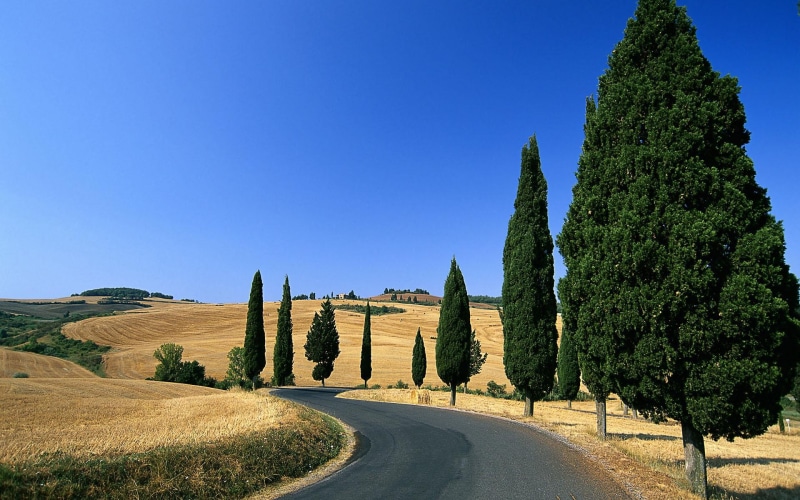 road, country, pienza, fields, monticchiello, italy, winding, 3d and abstract, 1080P