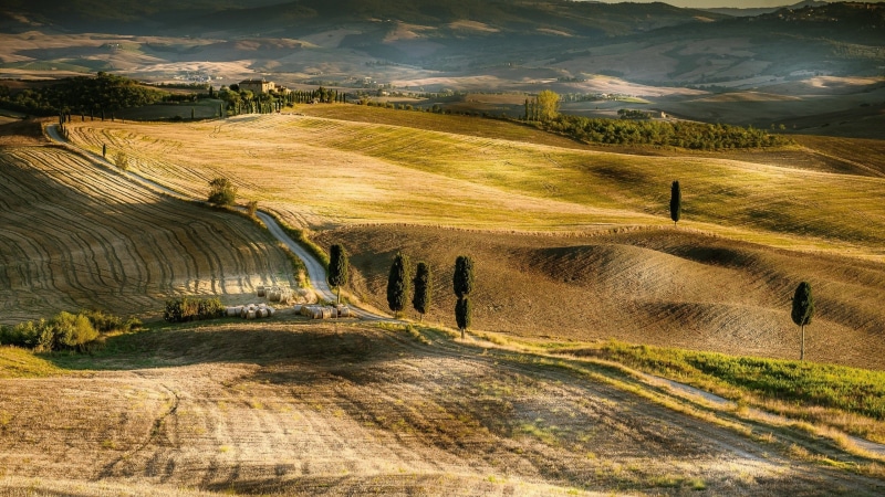 2K, Pienza, Tuscany, Italy, field
