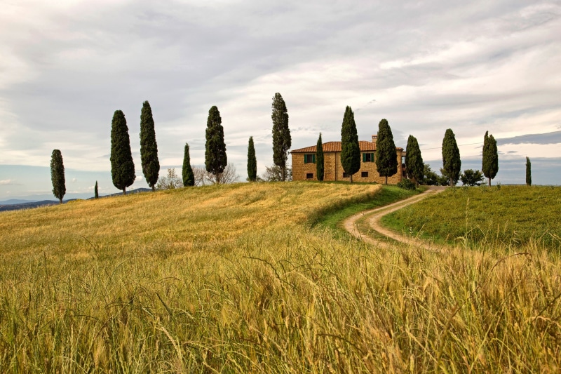 Italy, 1080P, trees, field, Siena, hill, the sky, Pienza, house