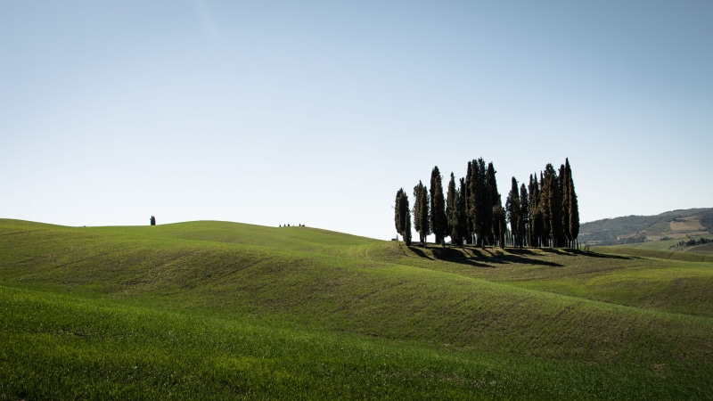 pienza, green color, outdoors, curves, tranquil scene, non-urban scene, easy, tranquility, grassland, bendandi, spring, beauty in nature, trees, green