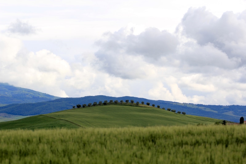 italy, tranquility, beauty in nature, tuscany, outdoors, nature, cloud - sky, grass, environment, day, landscape, rolling hills, non-urban scene, 5K, rural scene
