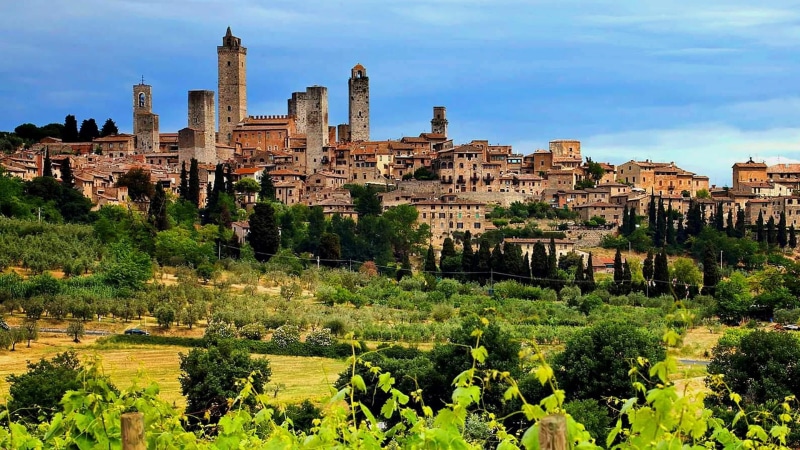 plant, towers, green color, history, ancient civilization, building, old, old town, tourist attraction, italy, san gimignano, nature, archaeology, village