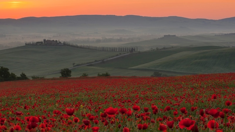 Maki, Crete Senesi, hills, Siena, Toscana, the sky, sunset, field, Italia, fog, flowers, Italy, 1080P