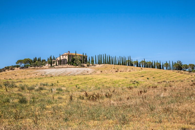 plant, ancient, copy space, ruined, building exterior, architecture, environment, tuscany, built structure, blue, outdoors, archaeology, old ruin, clear sky