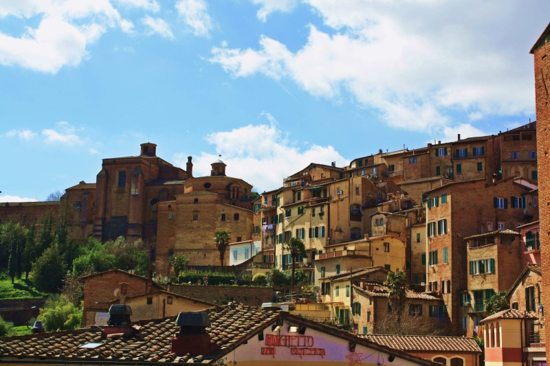 nature, roof, community, folk, town, townscape, building, built structure, tree, outdoors, day, house, no people, countryside, religion, residential district