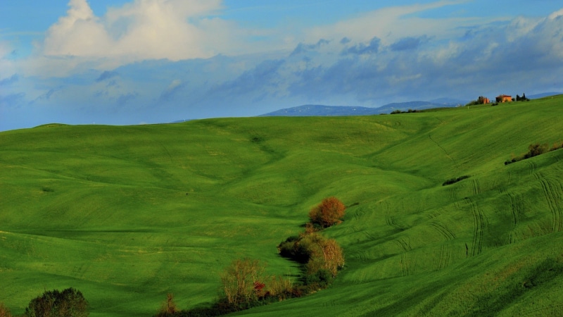 italy, tuscany, landscape, trees, grass, house, field, nature, clouds, 1080P, green, hill