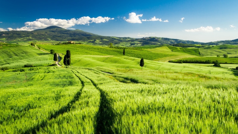 Italy, 2K, Tuscany, Green, Spring, Fields